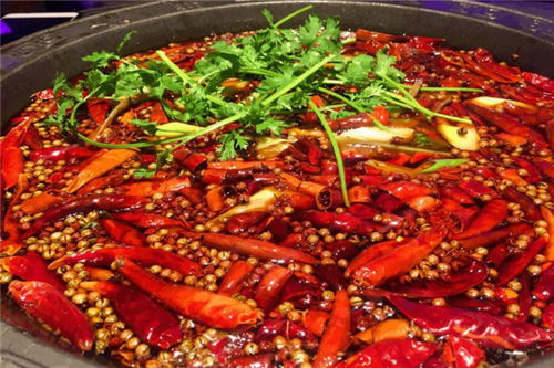 龍里火鍋加盟 傳統(tǒng)火鍋與現(xiàn)代燜鍋的雙重優(yōu)勢(shì)