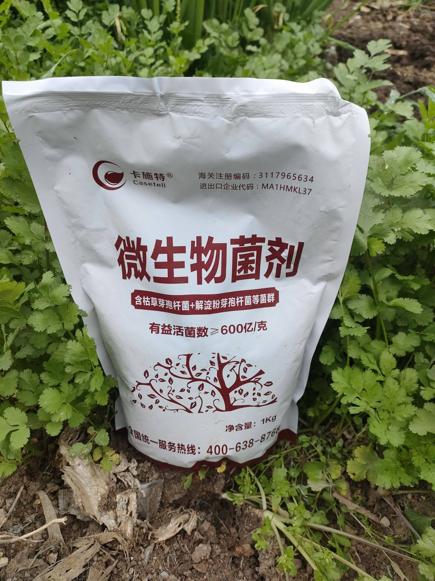 進(jìn)口微生物菌劑如何選？卡施特效果實(shí)測(cè)與選購(gòu)指南