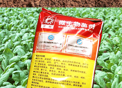 京陽(yáng)微生物菌劑農(nóng)家肥料的腐熟